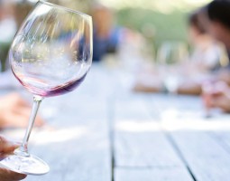 Leer wijnproeven via Konnektid